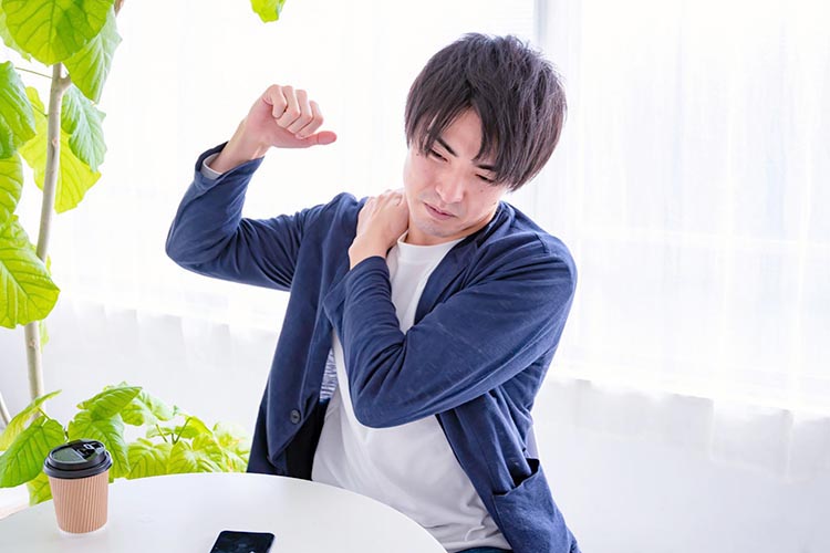 肩イメージ画像